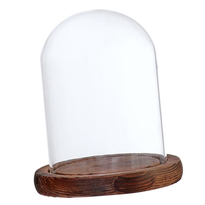 Cloche en verre support bois taille moyenne