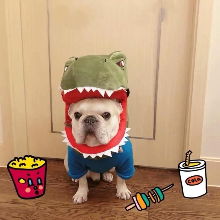 Costume Dinosaure Chien