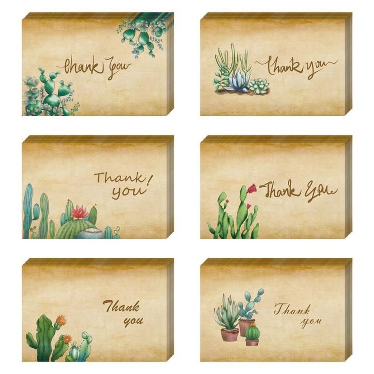 Cartes De Remerciement Cactus Carte De Remerciement Pour La Remise Des Diplomes De Mariage Cartes De Professeur De Sympathie Achat Vente Papier A Lettre Cartes De Remerciement Cact Cdiscount Cartes De Remerciement Cactus Carte De Remerciement Pour La Remise Des Diplomes De Mariage Cartes De Professeur De Sympathie Achat Vente Papier A Lettre Cartes De Remerciement Cact Cdiscount
