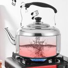 Bouilloire à gaz en acier inoxydable OUTAD - 5L - sifflet sonore - universel