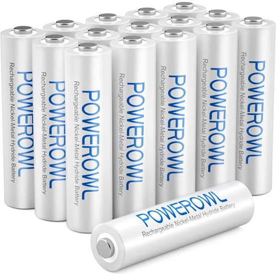 Tera AAA Pile Rechargeable Ni-MH 900mAh 1.2V 1200 Cycles à Faible Auto-décharge sans Effet