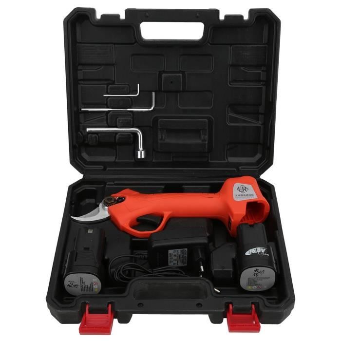 NAKESHOP Sécateur Coupe Branche électrique - sans fil coupe 2.5CM (2 pcs Batterie 1 pc Chargeur)