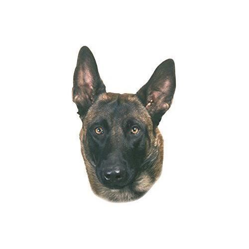 Nobby Autocollant de malinois
