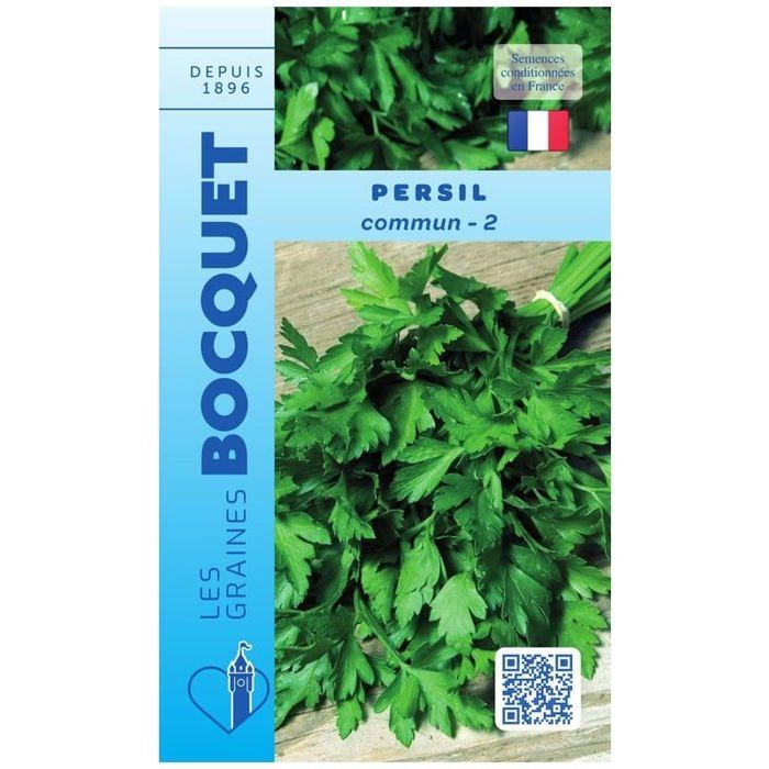 Graine - Semence - Persil simple commun-2