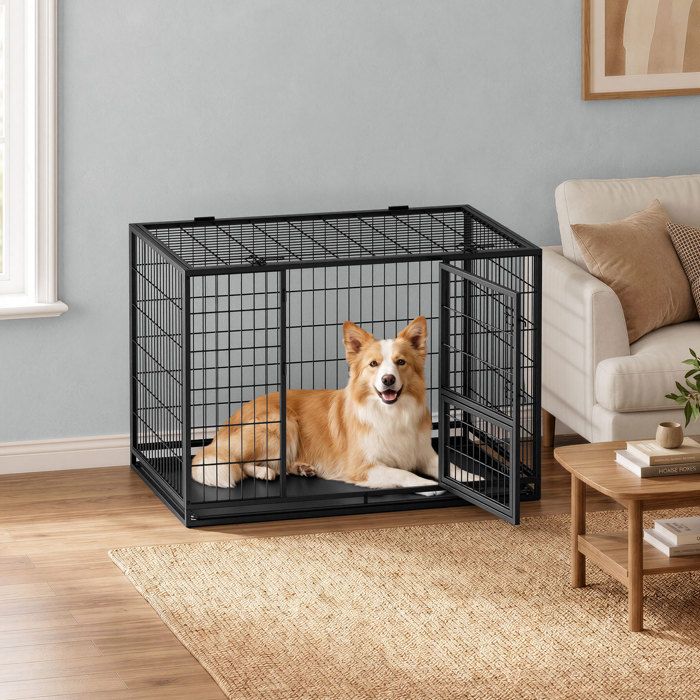 Cage pour Chien XXL Solide Parc pour Chien avec Double Porte et Plateau 107 x 70 x 76 6 cm Noir Cage pour Chien XXL Solide Parc pour Chien avec Double Porte et Plateau 107 x 70 x 76 6 cm Noir