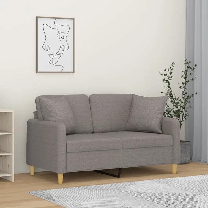 Canapé à 2 places - vidaXL - (1 pc) - charge (par siège) : 110 kg - Sofa intérieure - tissu - taupe - 120 cm - Oreillers inclus@mgk8