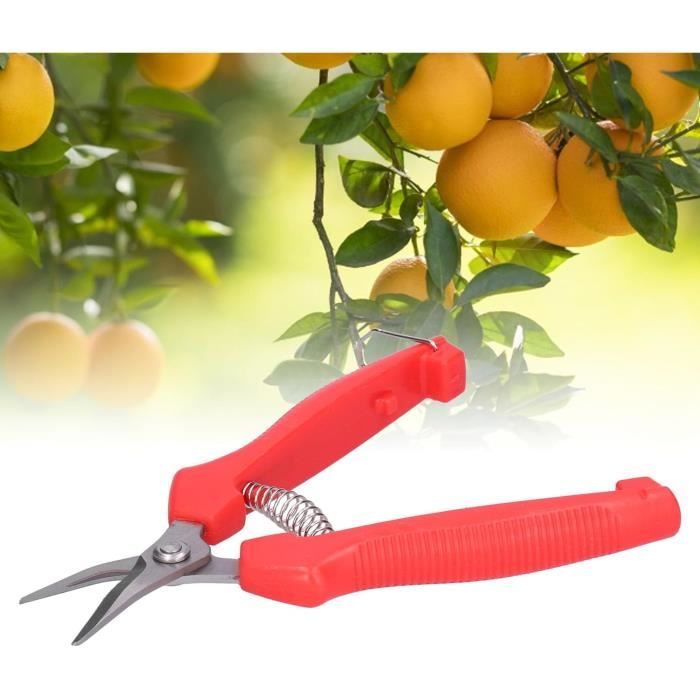 Lot De 3 Sécateurs De Jardin Professionnels – Acier Inoxydable, Coupe Nette, Poignées Ergonomiques Orange - 7