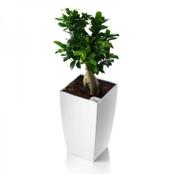 Pot carré BLANC avec réserve d'eau 35 cm ALGARVE - Cdiscount Jardin