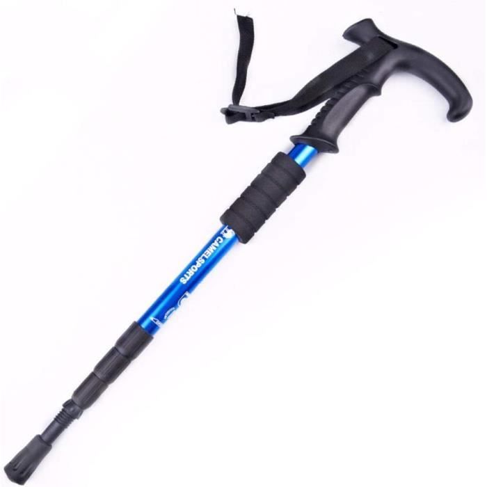 Bâton De Randonnée Black Diamond Flicklock – Marron/Noir – Un Poteau