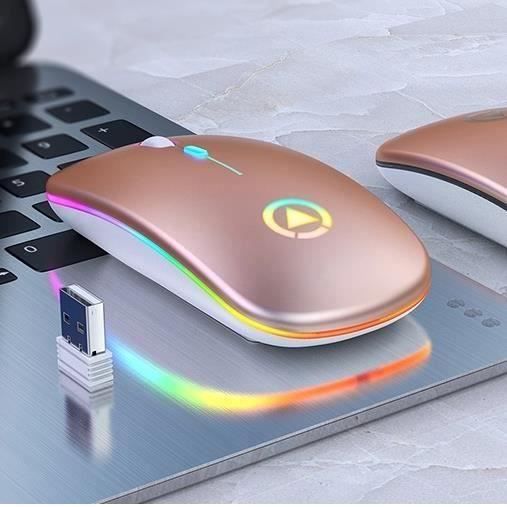 Souris sans fil rechargeable – Ergonomique – Rose – Silencieuse – Rétroéclairée – 1600 DPI