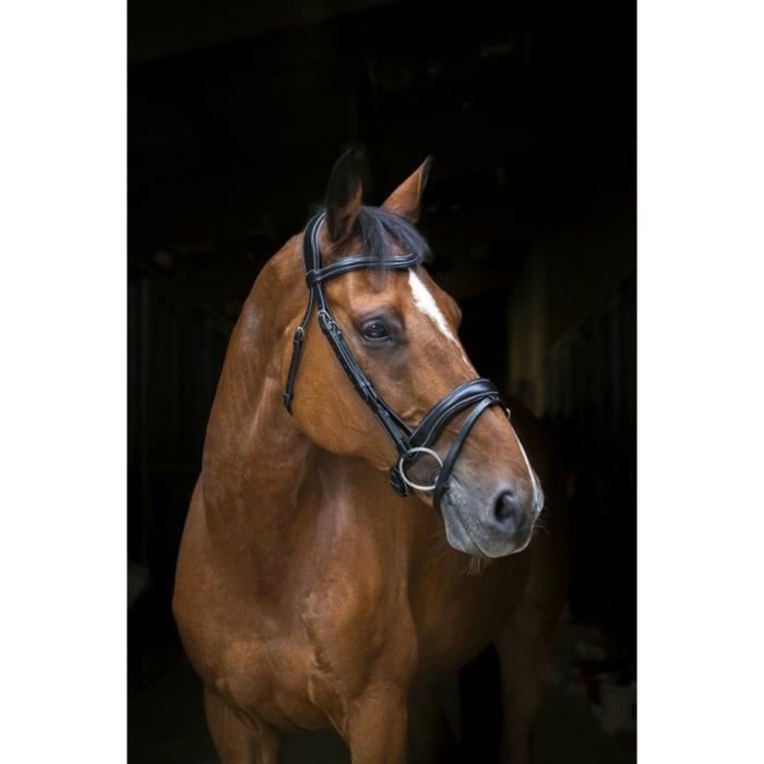 Bridons équitation pour cheval Eric Thomas PRO "Wave"