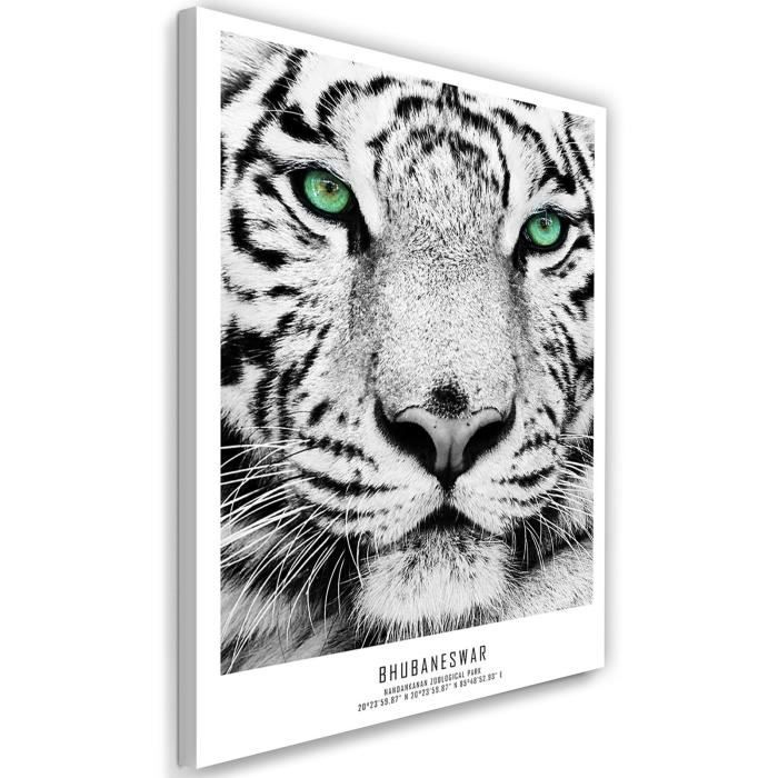 Tableau Toile Cadre Image Deco Moderne Canevas Tigre Photo Portrait Noir Et Blanc 80x120 Achat Vente Tableau Toile Toile Canevas 260g M2 Soldes Sur Cdiscount Des Le 20 Janvier Cdiscount