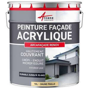 Tyrolienne electrique crepi - Resine de protection pour peinture