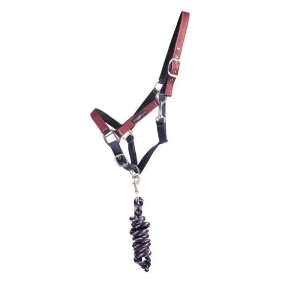 Collier triple amande en argent