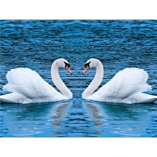 Tableau Art Diamant 5D Complet - Cadeau Déco Maison, Fini, Neuf
