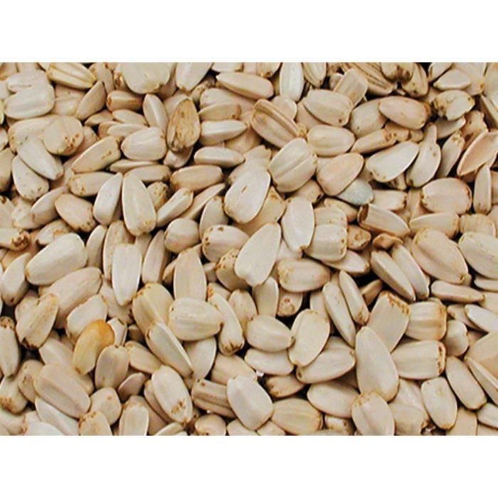 Vadigran - Graines pour OISEAUX grande graines de tournesol blanche 0.500Kg