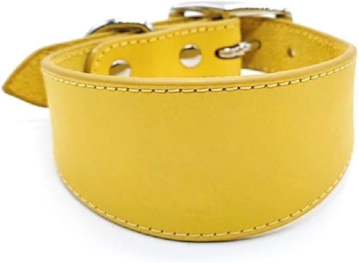 Comparer les prix de Leathers Collier rembourr doux pour whippets salukis lvriers Collier rglable pour chiens de raceJauneS couleurs multiples Largeight