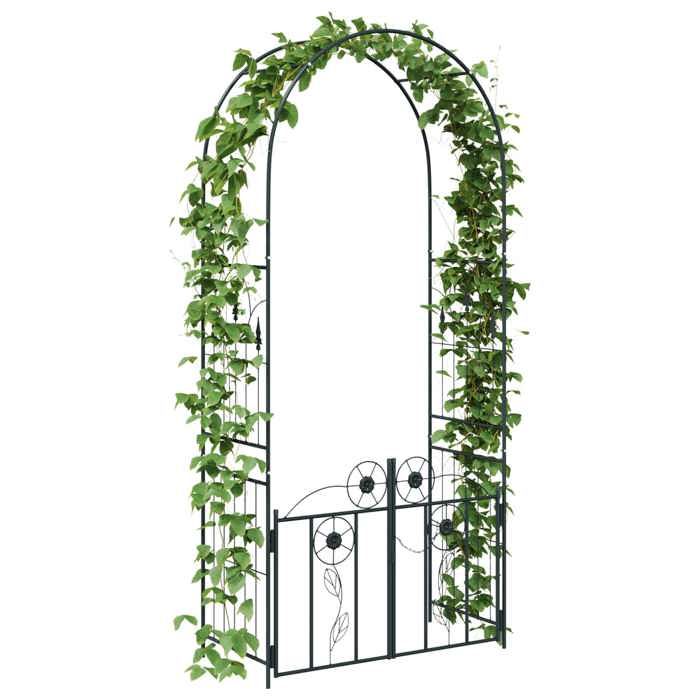 PROMOTION Arche de jardin Uni Noir 102x50x218 cm 234125
