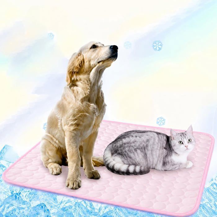 Rose 70*100cm Tapis Rafraîchissant pour Chien Auto-Refroidissant – Coussin Rafraîchissant Été en Matériau Non Toxique et HBCL