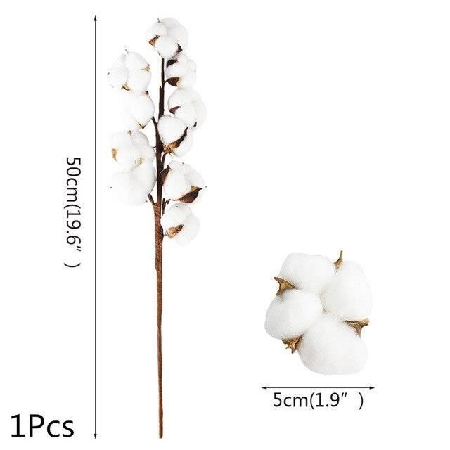 Tige de fleur de coton naturellement séché blanc mariage décoratif bricolage BKX