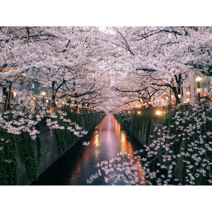 Poster Affiche Japon Cerisier En Fleur Canal Sakura Ville Decoration 42cm X 56cm Cdiscount Maison Poster Affiche Japon Cerisier En Fleur Canal Sakura Ville Decoration 42cm X 56cm Cdiscount Maison