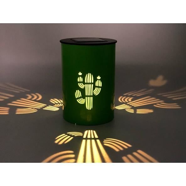 lanterne solaire - lumi jardin - cactus - energie solaire - vert