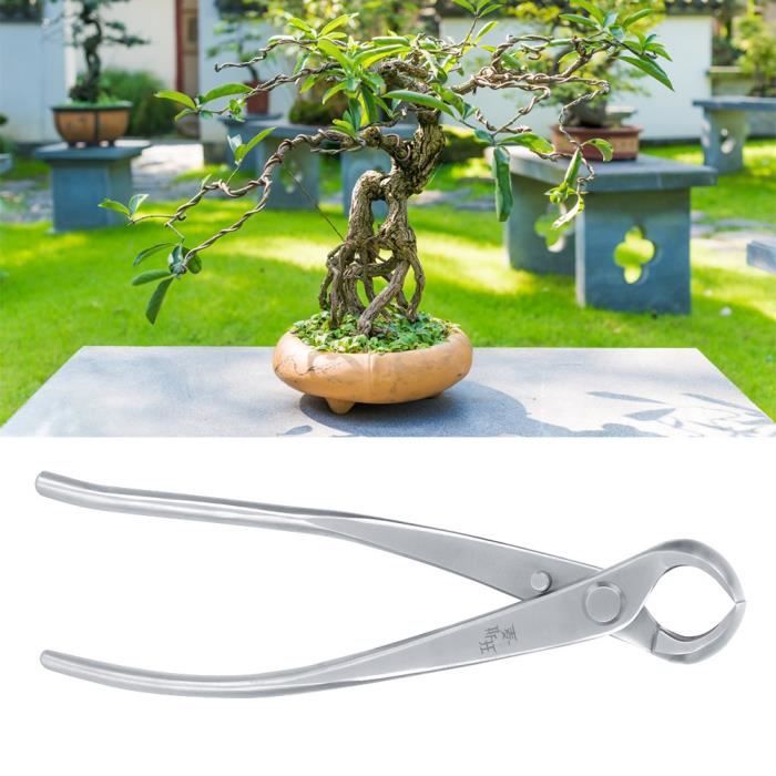 Ciseaux à bonsaï,poignée Ergonomique,Outil de Jardin,Ciseaux à Branches de  Plantes d'élagage[833] - Cdiscount Jardin