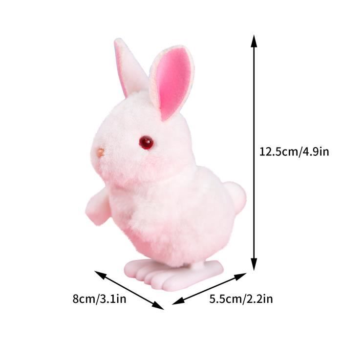 Prénoms pour lapin : 200 idées mignonnes pour mâles et femelles