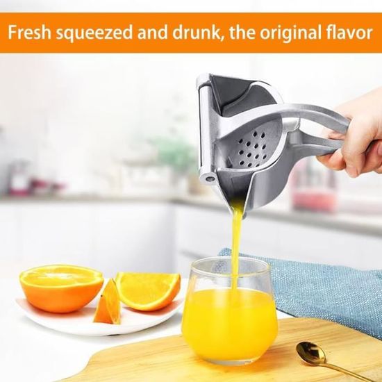 Extracteurs de jus d'ananas - Solutions efficaces et durables