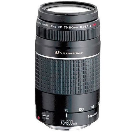 Canon Ef 75 300mm F 4 0 5 6 Iii 13 9 1 5 M 75 300 Mm 32 Micro Motor Noir Cdiscount Appareil Photo