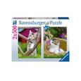 Puzzle 2x500 pièces - Les chatons à la campagne - Ravensburger - Gris - Dès 10 ans-0