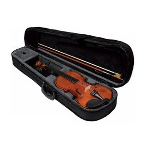 VIOLON HERALD - As134 - Autre Instrument - Violon 