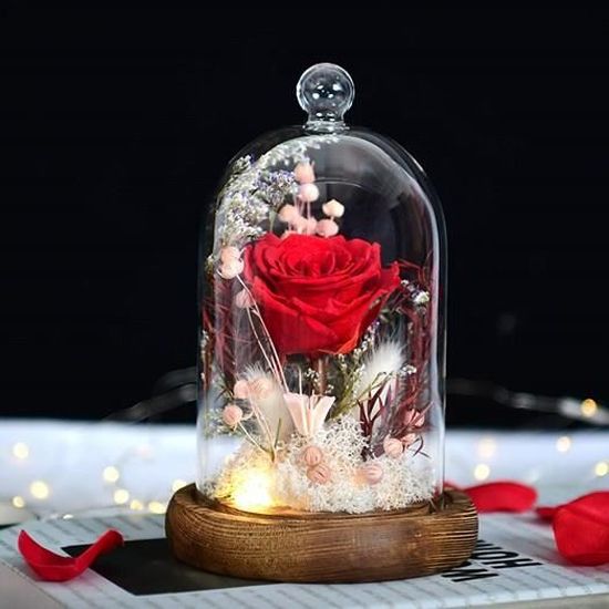 Rose éternelle Préservée Rouge Sous Cloche En Verre – Décoration Romantique – Cadeau Saint-Valentin, Anniversaire, Mariage