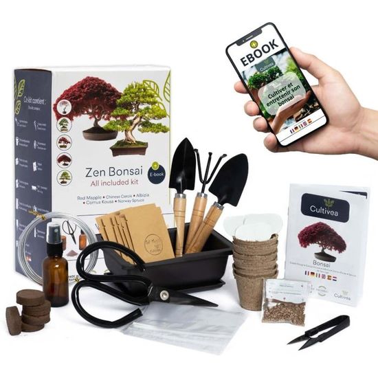 Kit Bonsaï D'intérieur Complet - 6 Graines à Faire Pousser + Pots Et Outils - Idée Cadeau Jardinage Fabriqué En France