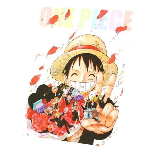 Tableau One Piece New Year  Toile, Luffy, Chapeau de paille