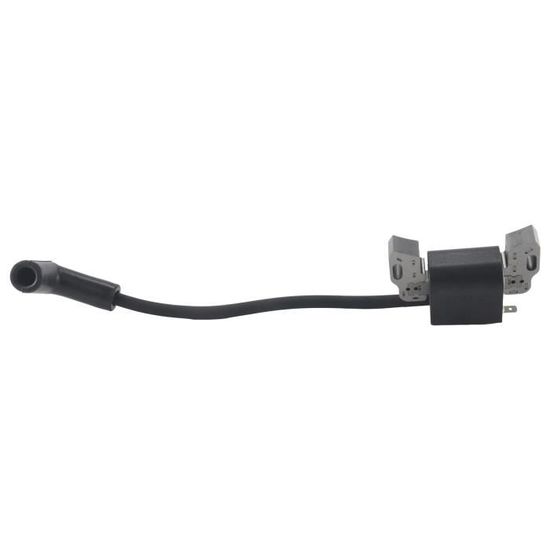 Bobine D'Allumage de Voiture pour Briggs Stratton 798534 799582 593872 Bobine D'Allumage de Voiture pour Briggs Stratton 798534 799582 593872