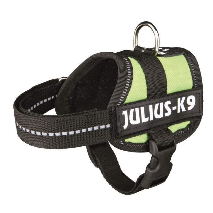 Harnais Power Julius-K9 - Baby 1 - XS : 30-40 cm-18 mm - Vert pastel - Pour chien