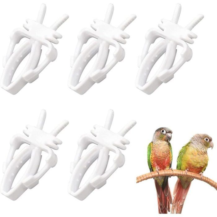 Pinces fruits perroquet x5 – porte-nourriture cage oiseaux Label