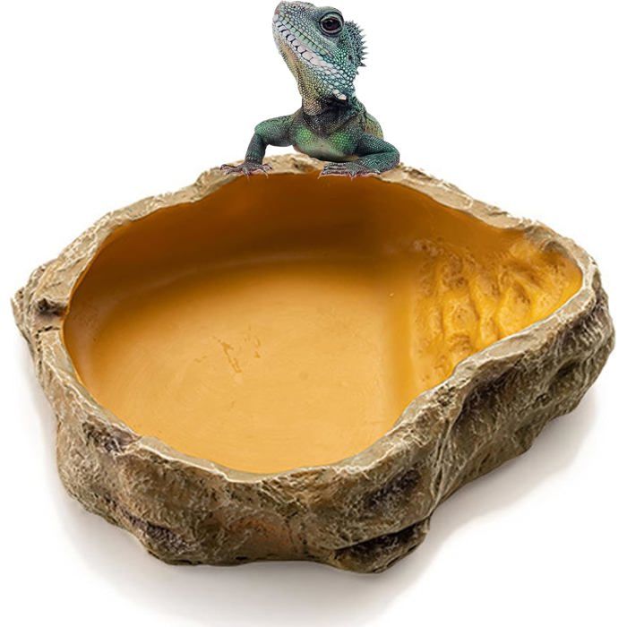 Bol à eau - Bol deau en résine de simulation - Facile à nettoyer - Utilisation polyvalente - Pour reptiles lézards