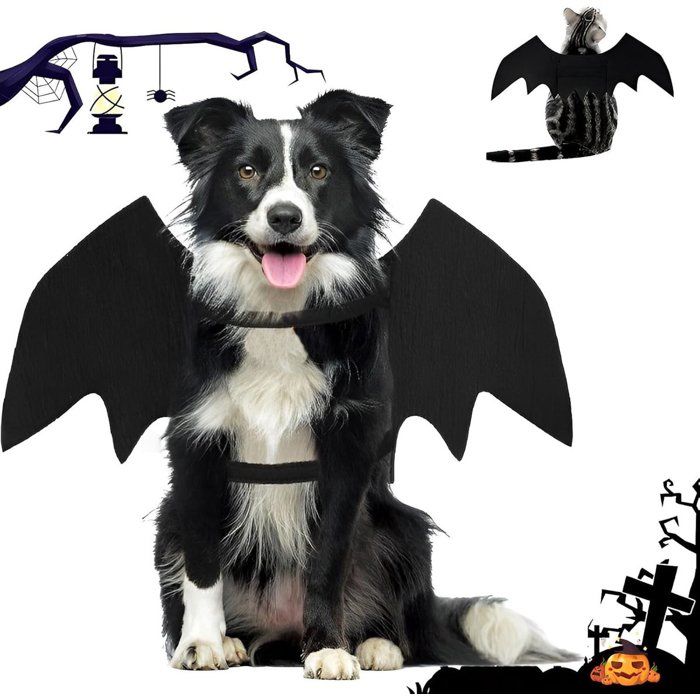 Chien - Chat - Vêtements créatifs pour animaux - Déguisement pour chien - Halloween - Noël - Ailes de chauve-souris