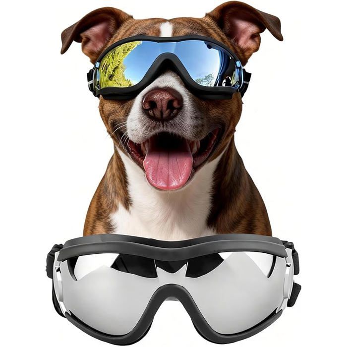 Lunettes de Protection Coupe-Vent pour Chiens de Taille Moyenne et Grande Taille Transparent
