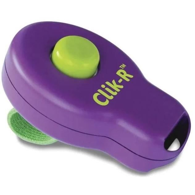 PetSafe - Clik-R clicker pour léducation des chiens avec Instructions dEntraînements - pour Chiots à partir de 8 semaines