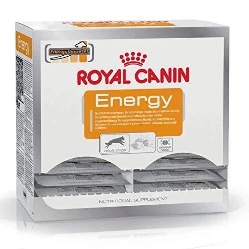 Meilleurs prix pour Royal Canin Energy Nutritional
