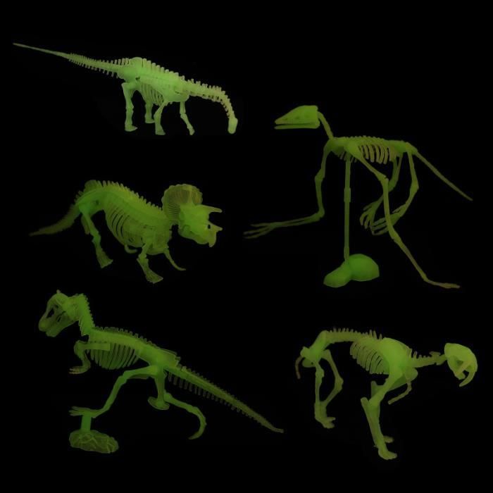 Squelettes Fossiles de Dinosaures Statue Figure Jouets de Dinosaures ...