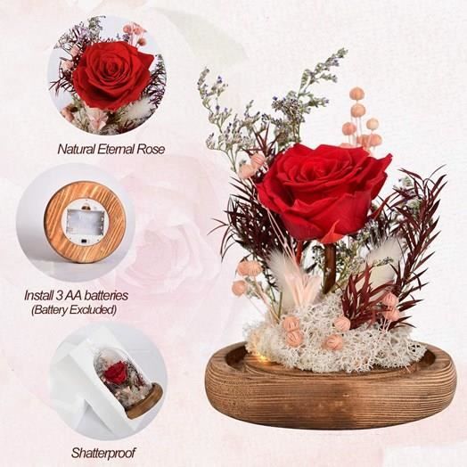 Décoration - Lunartec - Rose Artificielle Sous Cloche En Verre