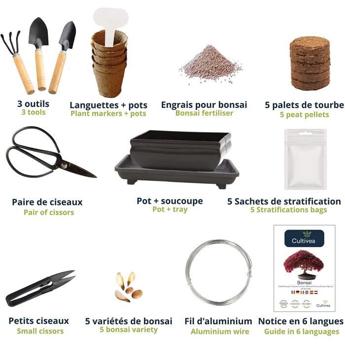 CULTIVEA® Mini Kit Prêt à Pousser Bonsaï – Graines Françaises 100