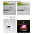 Veilleuse Bébé Fille rechargeable lampe de Nuit volière oiseau avec contrôle tactile rose-2