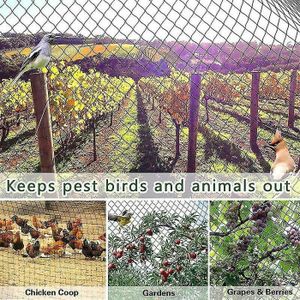 Filet Anti-oiseaux 2 Pièces 7,5m X 15m - Maille 50x50 Mm - Nylon Résistant - Pour Potager, Arbres, Bassin - 10