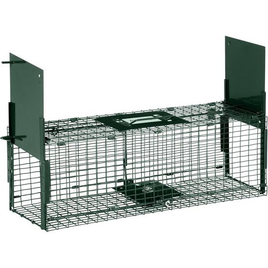 Pige Rat Castoramanull
