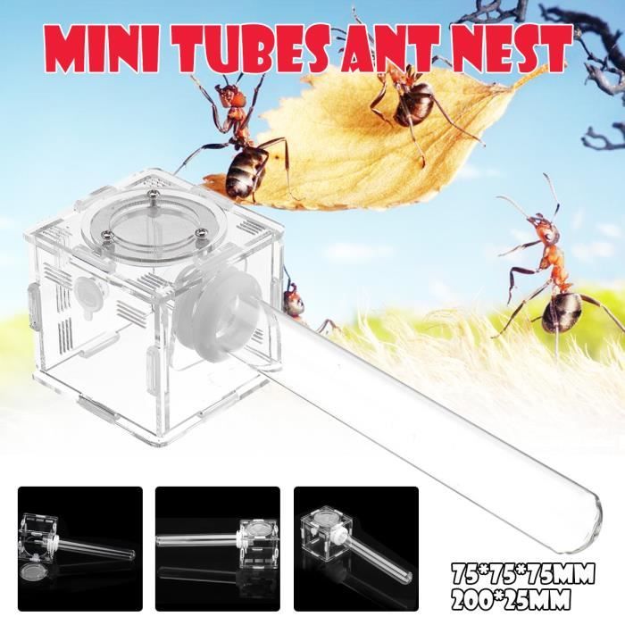 TEMPSA Mini Tubes Ant Nest Nid Fourmilière Ant Farm avec Zone Active Granja de Hormigas